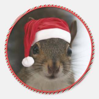 Funny Santa Squirrel Wearing Santa Hat Classic Round Sticker