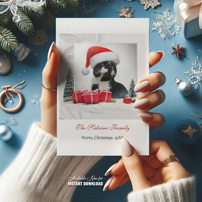 Funny Sarcastic Cat Santas Hat Christmas Party Holiday Card (Creator Uploaded)