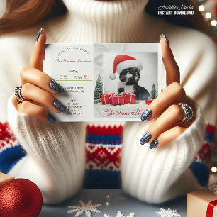 Funny Sarcastic Cat Santas Hat Christmas Party Invitation