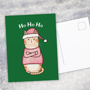 Funny Sarcastic Orange Cat Christmas Holiday Postcard
