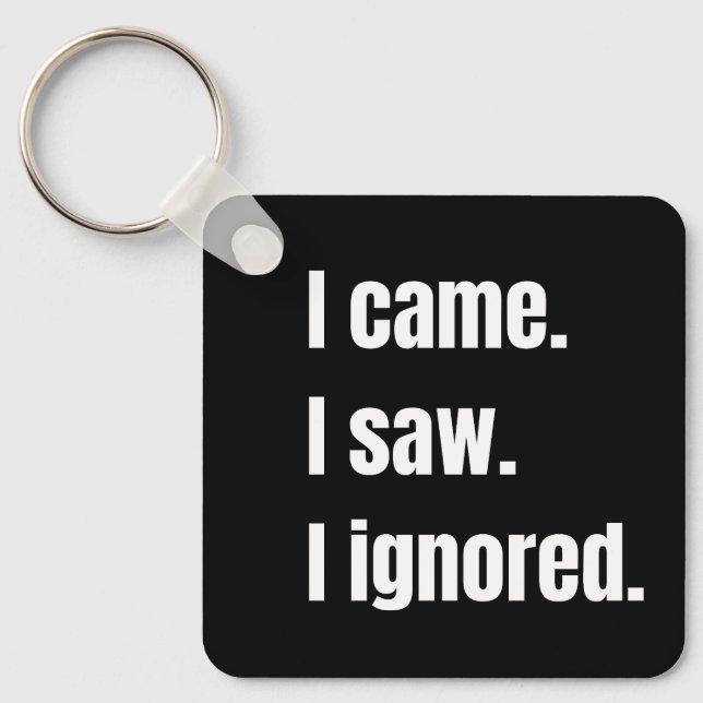 Funny Sarcastic Quote I Came I Saw I Ignored Meme  Key Ring (Front)
