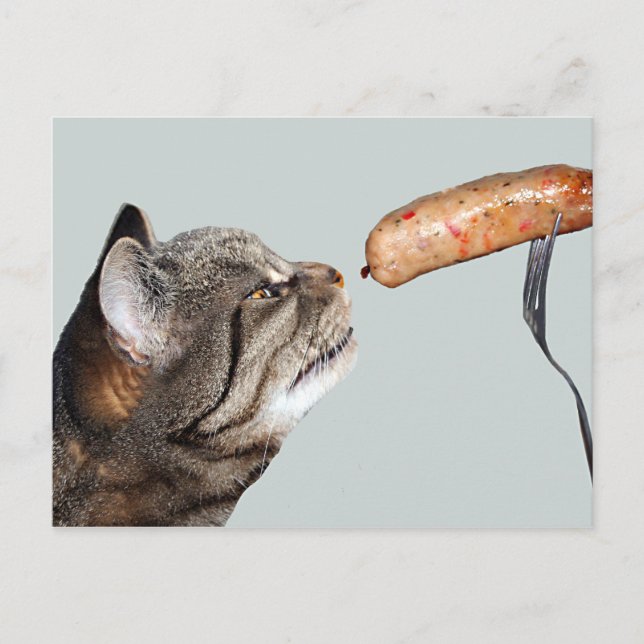 Funny Sausage Cat Postcard (Front)