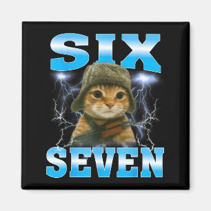 Funny Saying 67 Cats Tummy Ache Survivor Cat Meme Magnet