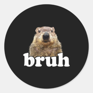 Funny Saying Bruh Groundhog Animal Lover Groundhog Classic Round Sticker