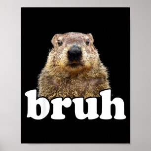 Funny Saying Bruh Groundhog Animal Lover Groundhog Poster