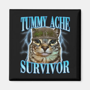 Funny Saying Cats Tummy Ache Survivor Cat Meme Hum Magnet