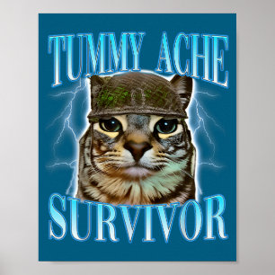Funny Saying Cats Tummy Ache Survivor Cat Meme Hum Poster