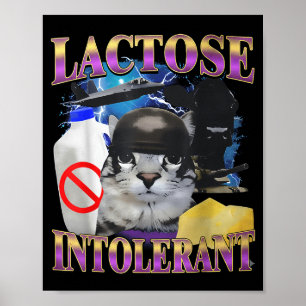 Funny Saying Lactose Intolerant Silly Cat Meme Cat Poster