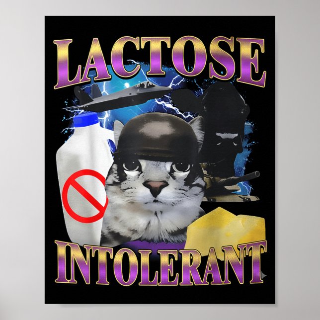 Funny Saying Lactose Intolerant Silly Cat Meme Cat Poster (Front)