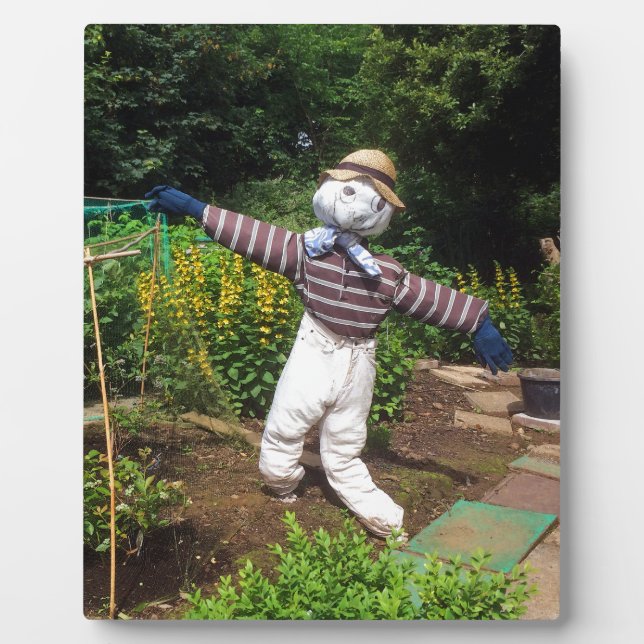 Funny scarecrow plaque (Front)