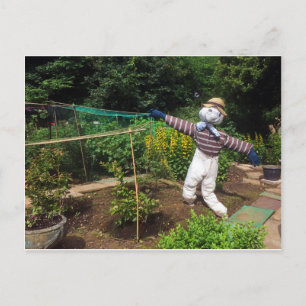 Funny scarecrow postcard