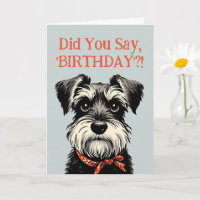 Funny Schnauzer Birthday Greetings Card