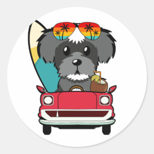 Funny Schnauzer Dog is driving to the beach Classic Round Sticker