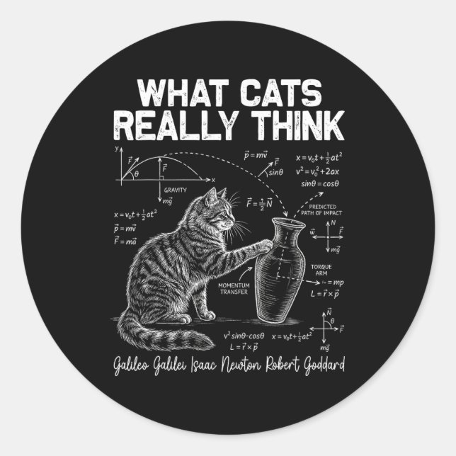 Funny Science Cat Physics Teacher What Cats Really Classic Round Sticker (Front)
