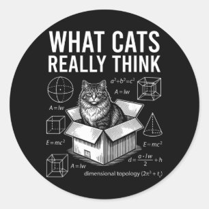 Funny Science Physics Cat in Box What Cats Think Classic Round Sticker