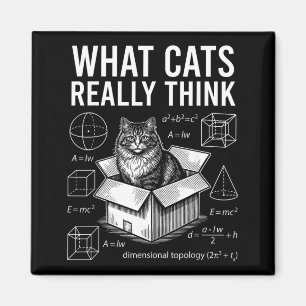 Funny Science Physics Cat in Box What Cats Think Magnet