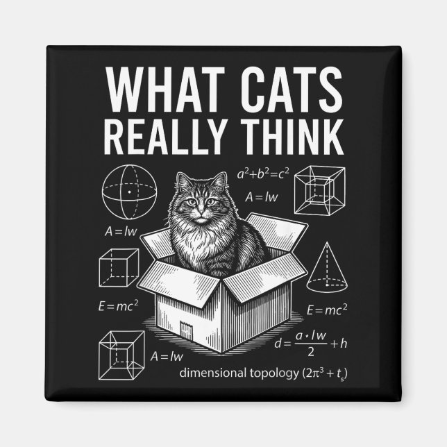 Funny Science Physics Cat in Box What Cats Think Magnet (Front)