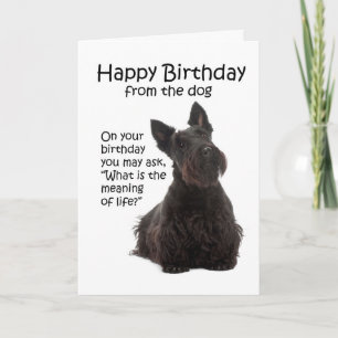 Funny Scottie Birthday Card
