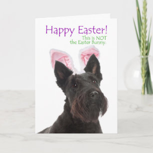 Funny Scottie Easter Card