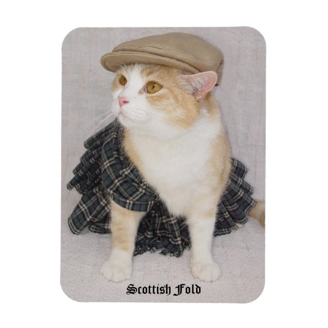 Funny Scottish Fold Cat/Kitty in a Kilt Magnet (Vertical)
