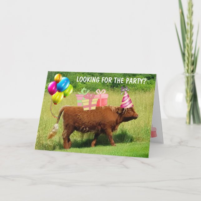 Funny Scottish Highland Steer Birthday Card (Front)