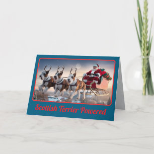 Funny Scottish Terrier Christmas Holiday Card