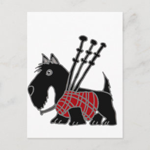 Funny Scottish Terrier puppy dog Playing Bagpipes Postcard