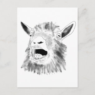 Funny Screaming Goat Drawing Quirky Animal Art Postcard