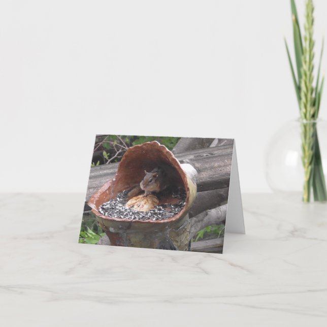 Funny Screw Dieting Chipmunk with Full Cheeks Card (Front)