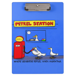 Funny sea gulls petrel cartoon humour clipboard