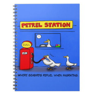 Funny sea gulls petrel cartoon humour notebook