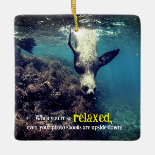 Funny sea lion underwater ceramic ornament