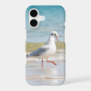 Funny seagull