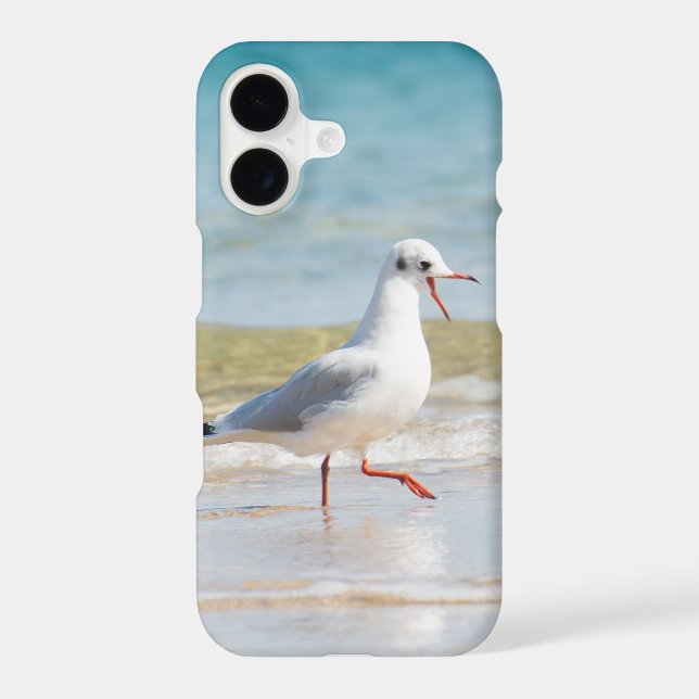 Funny seagull (Back)