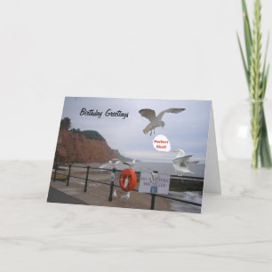 Funny seagull birthday card, customisable card