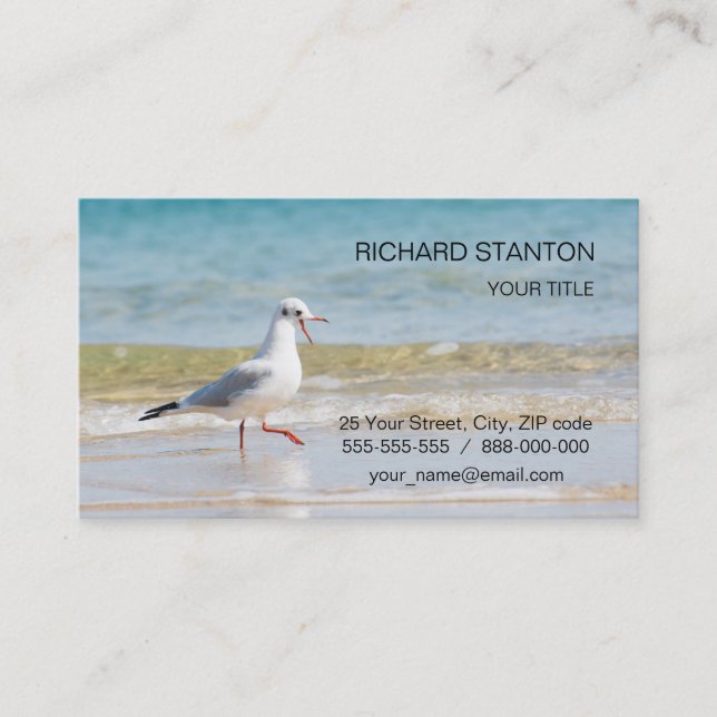 Funny seagull business card (Front)