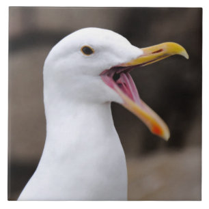 FUNNY Seagull Ceramic Tile