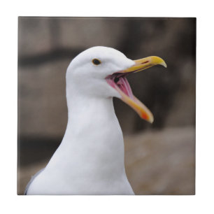 FUNNY Seagull Ceramic Tile