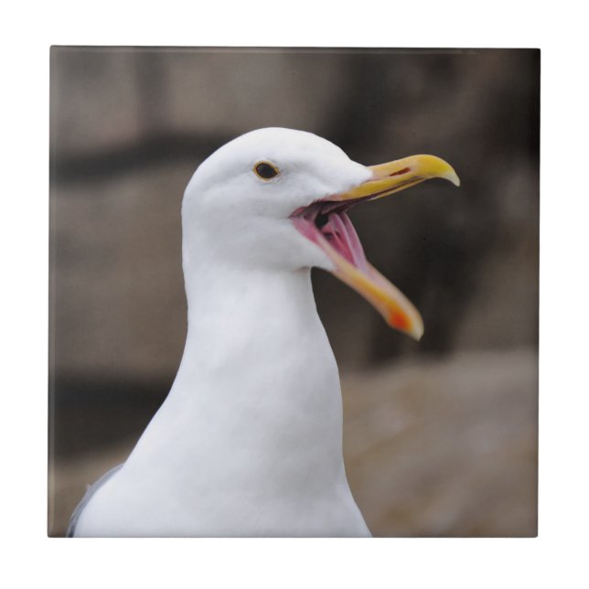 FUNNY Seagull Ceramic Tile (Front)