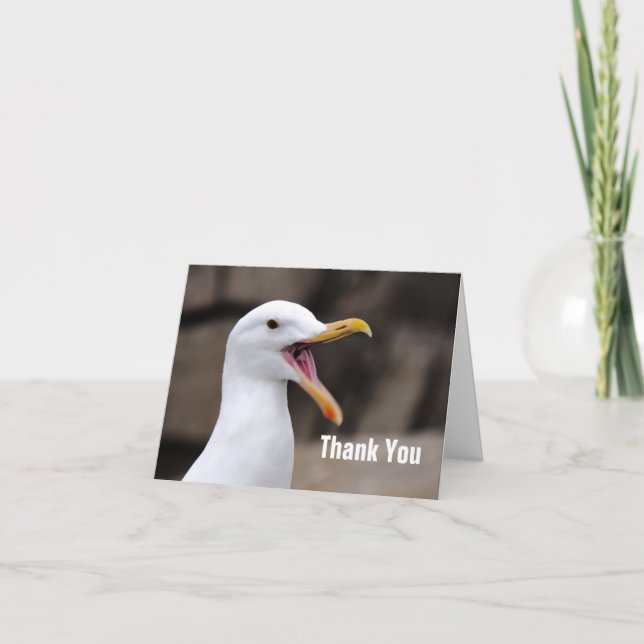 FUNNY Seagull  Thank You Card (Front)