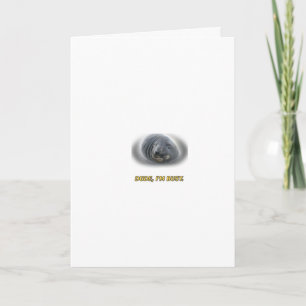 Funny Seal Dude I'm Busy Card