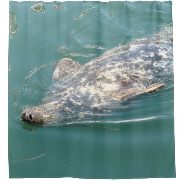 Funny Seal Floating on his Back Shower Curtain (Front)