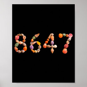 Funny Seashells Sea Shells Summer Beach 2 Poster