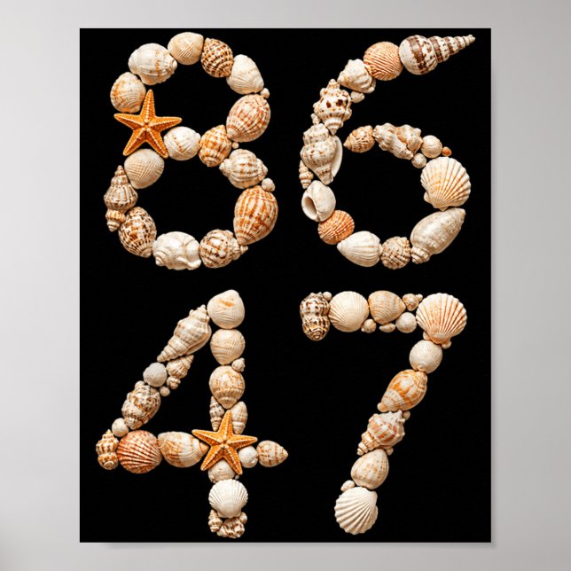Funny Seashells Sea Shells Summer Beach Poster (Front)
