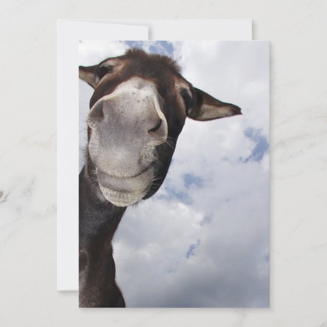 funny selfishness (Front)