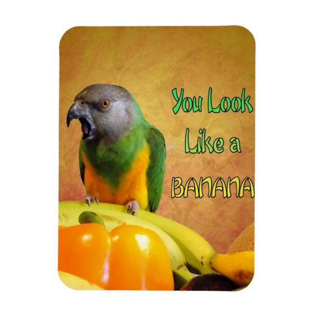 Funny Senegal Parrot Banana Magnet (Vertical)