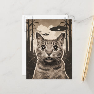 Funny Sepia Kitty and UFOs Postcard
