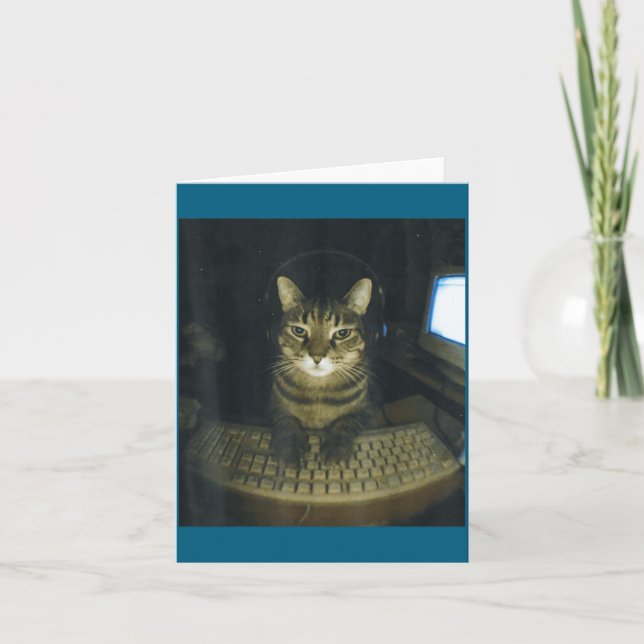 Funny Serious Gamer Cat Lovers Stud Kitty Cat Meme Card (Front)