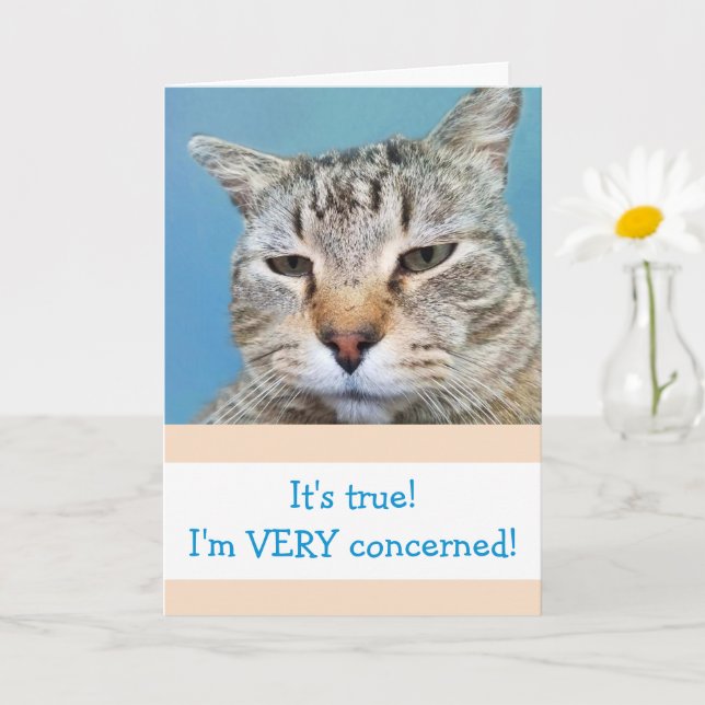 Funny Serious Worried Cat Get Well Card (Small Plant)