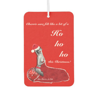 Funny Sexy Pinup Joke Christmas Car Air Freshener